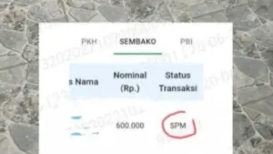 Arti Status Transaksi SPM, SI, dll di SIKS-NG 2026 Cek Bansos