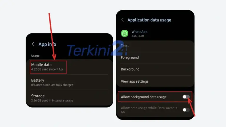 Cara Agar WA Centang 1 Tanpa Mematikan Data Terbaru 2026
