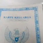 Cara Cek KK Online 2026 Lewat HP
