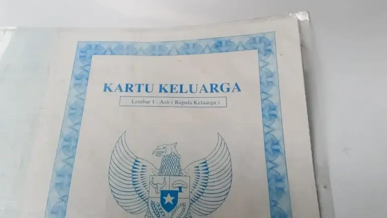 Cara Cek KK Online 2026 Lewat HP