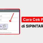 Cara Cek PIP 2026 di SIPINTAR Lewat HP