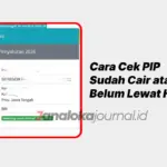 Cara Cek PIP Sudah Cair atau Belum Lewat HP