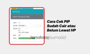 Cara Cek PIP Sudah Cair atau Belum Lewat HP