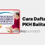 Cara Daftar PKH Balita 2026: Syarat, Jadwal Cair, Nominal