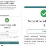 Apa Itu Desil 9 10 DTSEN, Artinya, dan Penghasilan Berapa