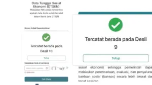 Apa Itu Desil 9 10 DTSEN, Artinya, dan Penghasilan Berapa