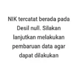 Desil NULL Artinya Apa Saat Cek Bansos