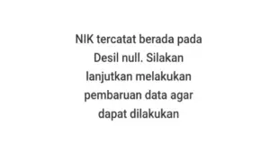 Desil NULL Artinya Apa Saat Cek Bansos