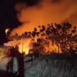 Apa Penyebab Kebakaran Hutan di Kalimantan dan Kapan Mulai Terjadi