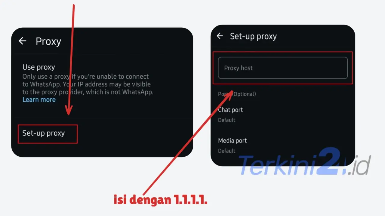 Masukkan 1.1.1.1