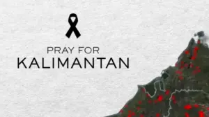 Apa itu Seruan “Pray For Kalimantan” di Media Sosial yang Sedang Viral