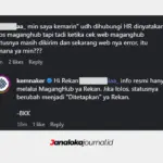 Arti Status Ditetapkan dan Dikirim di MagangHub Kemnaker 2026