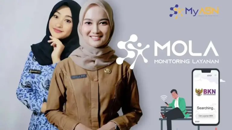 Cara Cek Status PPPK Paruh Waktu 2026 Melalui Layanan MOLA BKN Secara Mandiri