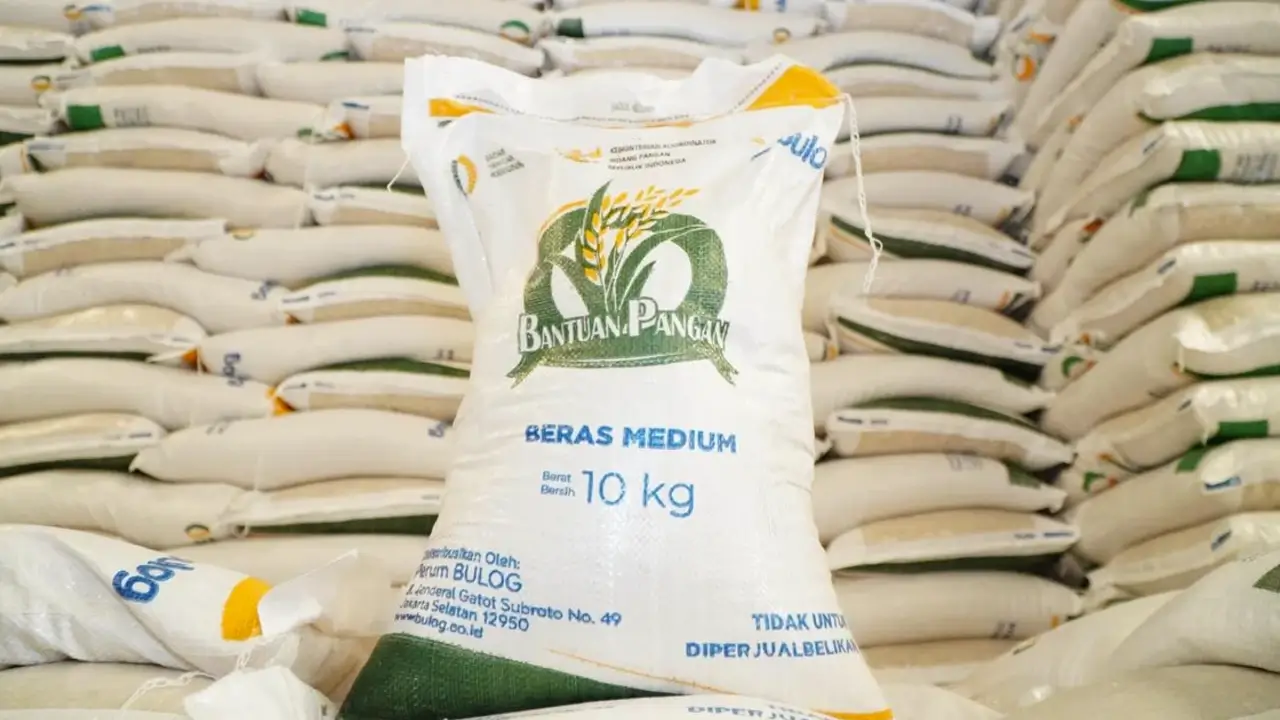 Cek Bansos Beras 30kg
