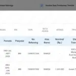 Penyebab Exclude PBI JK Karena Memiliki Kendaraan Roda 4 di Cek Bansos Serta Solusi