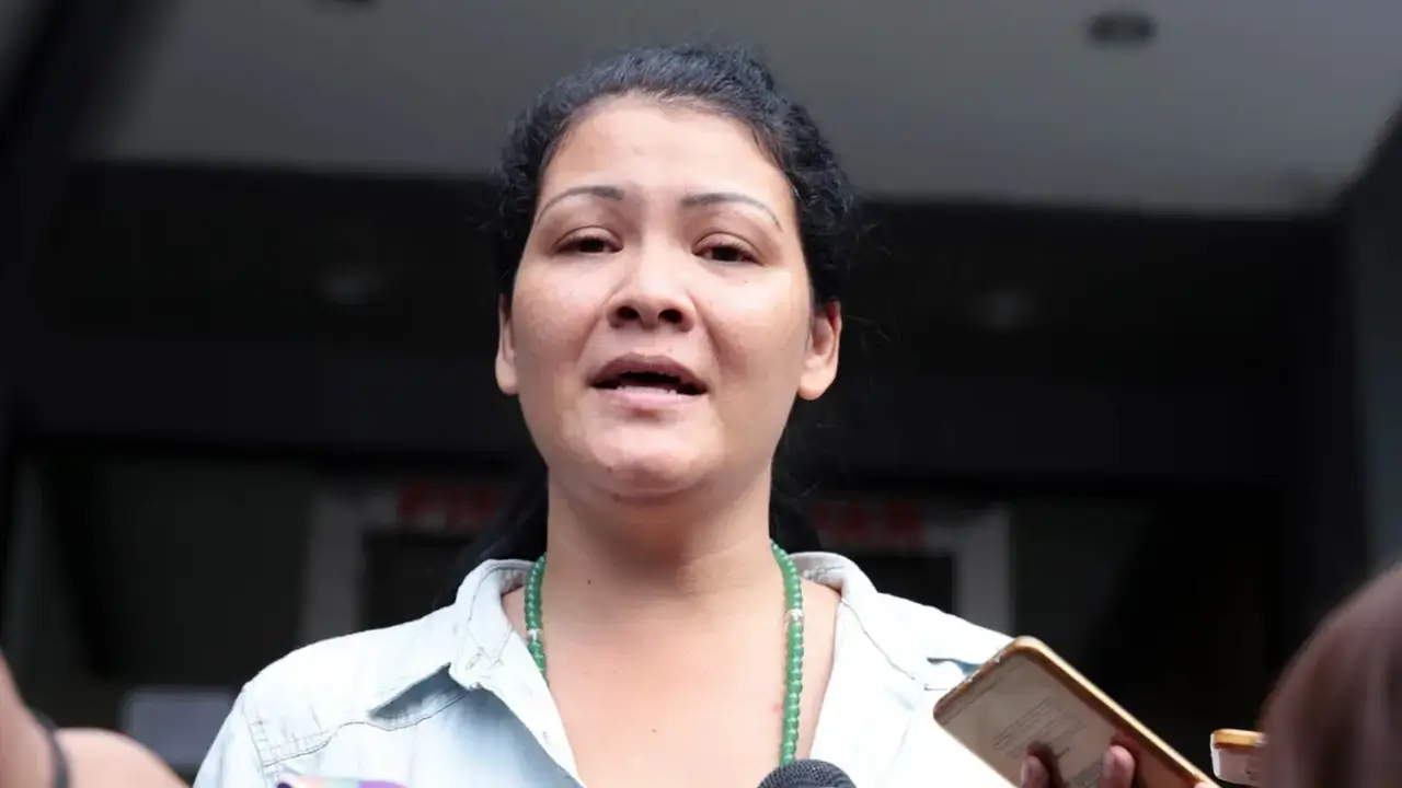 Profil Melanie Subono