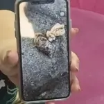 Nunung Curhat Soal Warung Makan Mendadak Sepi Usai Ada Kiriman Tanah Kuburan