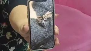 Nunung Curhat Soal Warung Makan Mendadak Sepi Usai Ada Kiriman Tanah Kuburan